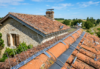 Lutte contre les pigeons