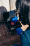 Infestations de rongeurs