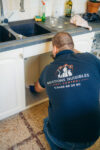 Infestations de rongeurs