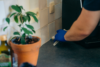 solutions nuisibles – mai 26-49 1